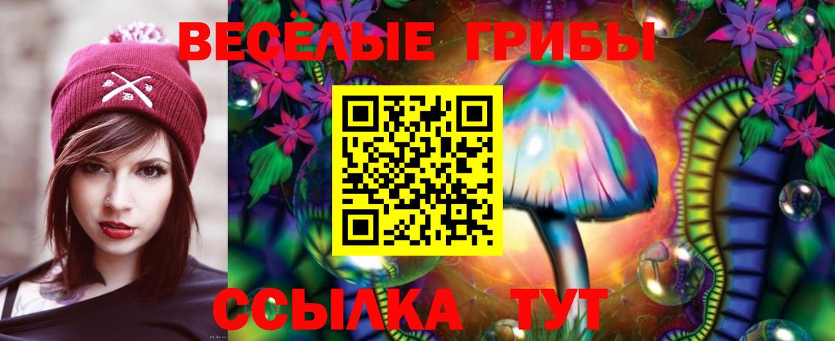 Галлюциногенные грибы прущие грибы Обнинск